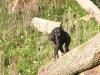 2011040701544224_k-Zoo & Jana 014.jpg